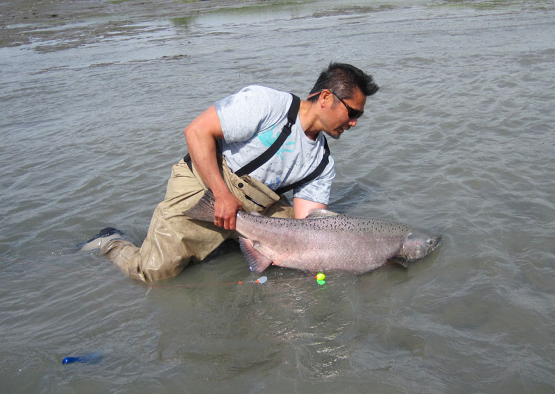 07-18-11 FVE 30 hen release.jpg